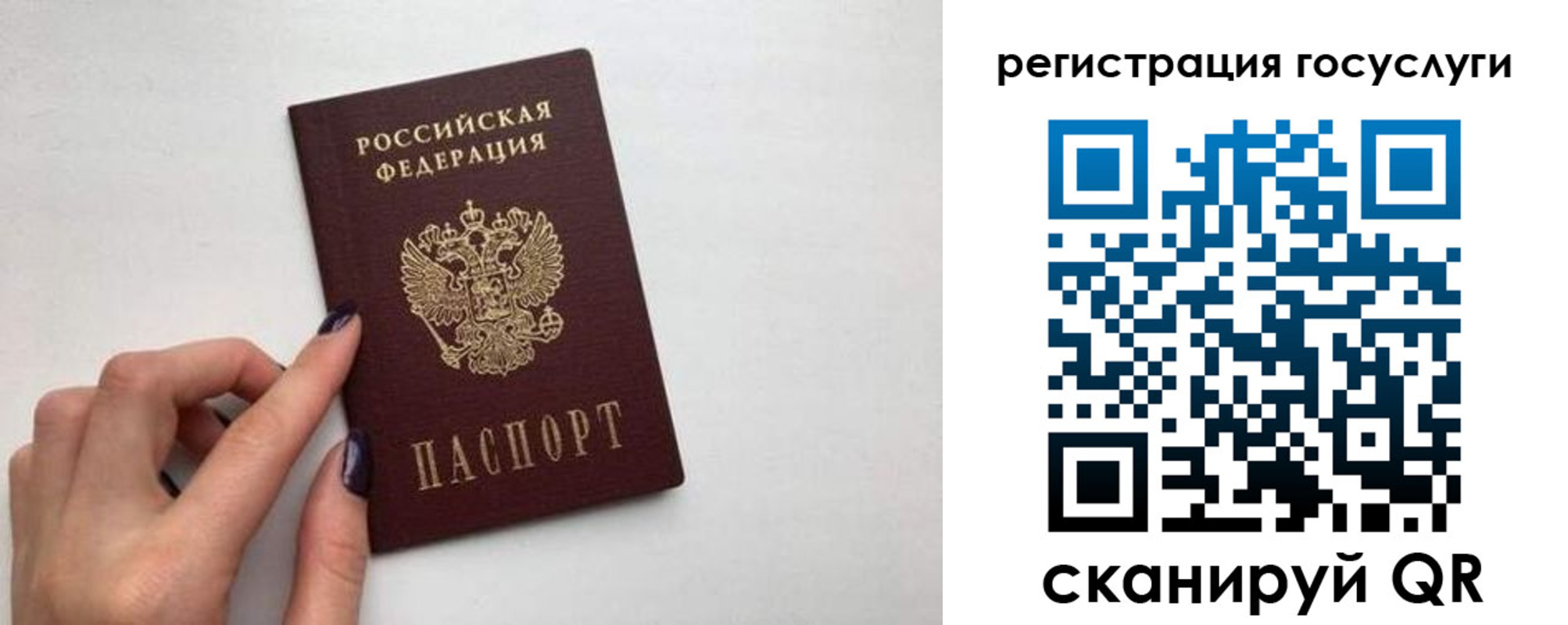 временная регистрация гарантия в Краснодаре